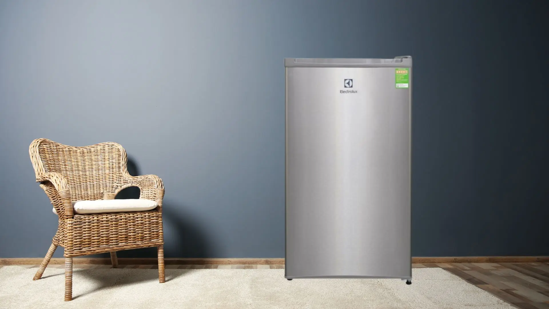 4-tu-lanh-mini-dien-may-xanh-electrolux-eum0900sa-l.webp